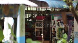 Dogs run wild in abandoned Yangon Amusement Park