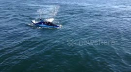 Bizarre robot shark filmed in San Diego, California