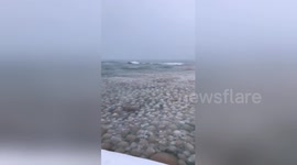 Newsflare Edit - Ice balls in Lake Michigan at St. Joseph lighthouse pier @weatherchannel #ItsSoCold https://t.co/mwD1hYa7b8