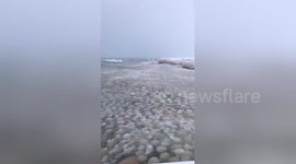 Huge ice balls roll on to Lake Michigan