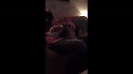 Irritated talking dog!