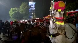 Colorful lights adorn the heads of the carts welcoming the New Year 2018
