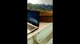 Ryanair  smashed laptop, glasses and ripped bag. Dublin airport 17 June 2017