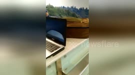 Newsflare Edit - Ryanair  smashed laptop, glasses and ripped bag. Dublin airport 17 June 2017