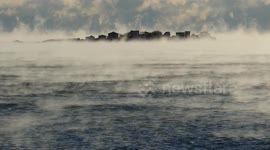 Sea smoke hovers above the Atlantic off Marblehead, Massachusetts