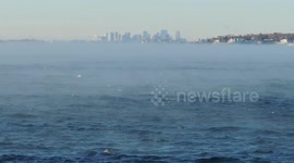 Sea Smoke and Boston, Massachusetts