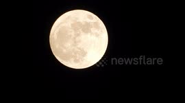 'Wolf supermoon' lights up the sky of London