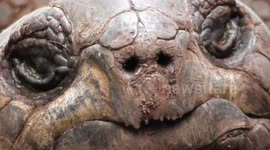 Have you got one of these Blue Monday faces?