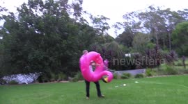 Nutty professor dad fills inflatable flamingo with hydrogen and then lights it