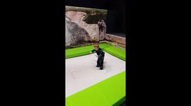 Cute kids falls on trampoline