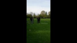3legged fail