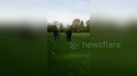 Newsflare Edit - 3legged fail