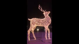 Christmas biggest glowing deer