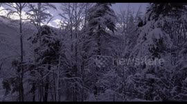 Aerial, beautiful trees under the snow and the view on the snowy mountains with ski tracks