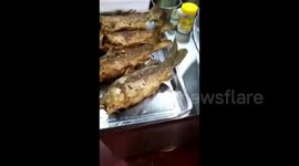 Fried fish moves on plate