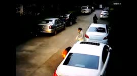 Wild boar attacks passerby in Chinese city