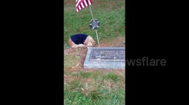 Heartwrenching moment faithful dog refuses to leave owner's grave