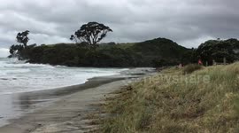 King tide storm surge Northland New Zealand