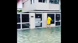 Tamaki Drive completely flooded