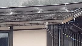 Why some houses able to keep snow off the roof