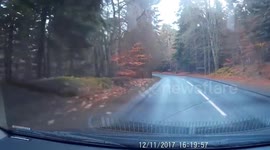 Near miss! Overtaking cyclist on blind bend