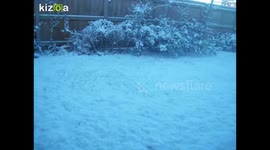 Kizoa Movie - Video - Slideshow Maker: snow pictures