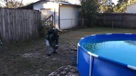 Frozen pool in Pensacola - Florida - Freeze weather