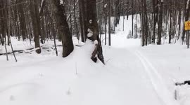 Wipeout Continuously Cross Country Skiing