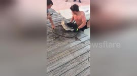 Man catches shark in tiny net and releases it into open sea