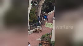 Newsflare Edit - San Luis Obispo Homeless man eats fruit from a tree