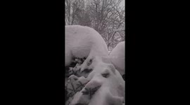 This is what Ontario looks like after 5 days of snow