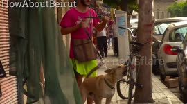 Fake Angry Dog Prank