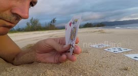 Man plays poker with turtle on beach and loses.