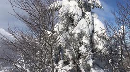 Beautiful winter panorama of a snowy mountains and ski tracks