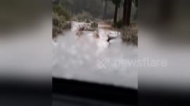 Newsflare Edit - Snowing in Azusa California