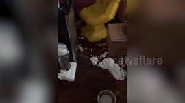 Hilarious moment naughty pooch is caught ‘red-pawed’ with its head stuck in a cheeseburger box after raiding its owner’s bi