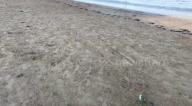Plastic debris on the beach