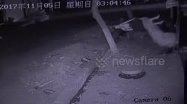 温岭  只为女友一句话:想穿婚纱 男子深夜砸店偷走婚纱
