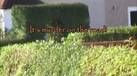 It's murder on the road!
