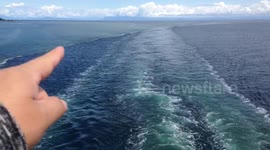 Rare Sightings - Green Water / Black Water Mystery Canada Capital G