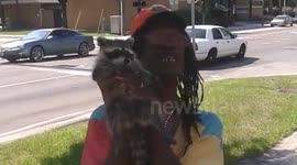 Mr. Jacksonville and Randy the raccoon