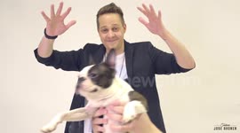 Magic for Dogs II