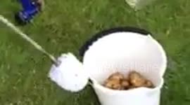 How to peel 1kg of potatoes in 1 minute