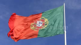 Portuguese Flag
