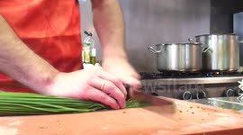 Dutch Cook