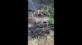 Plastic Pollution