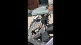 3 metre snake hiding under motorcycle seat