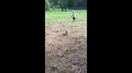 Hound dog Jaxon knocks baby sister down while playing!