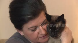 Cat talks with its owner