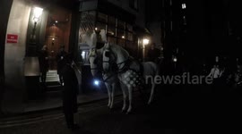 Horses At Mr Foggs 5th Birthday